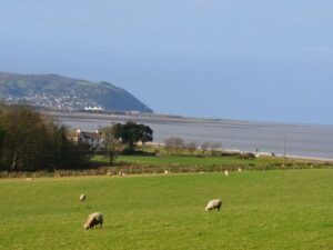 Blue Anchor budget chalet pets welcome