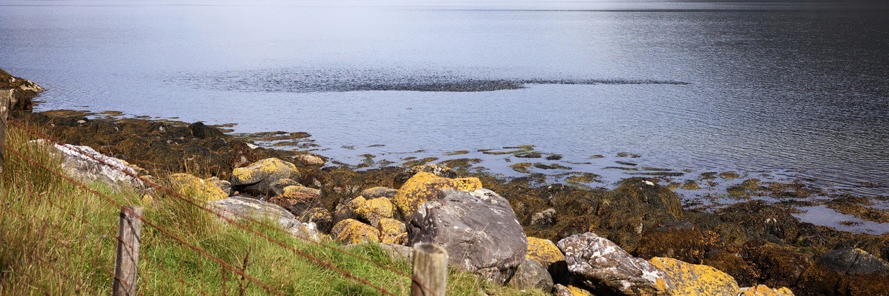 Loch Goil Seaside Accommodation Loch Goil Seaside Accommodation to rent