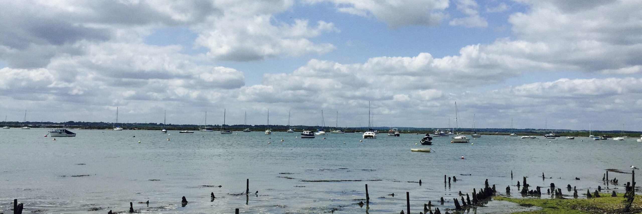 Mersea Island Pet Friendly Holidays Mersea Island Pet Friendly Holidays to rent