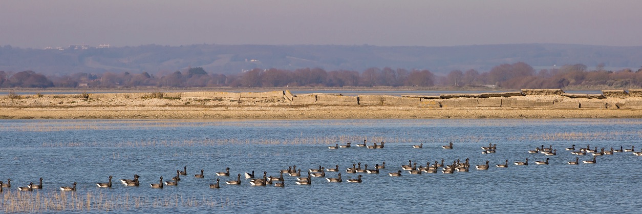 Pagham Seaside Accommodation Pagham Seaside Accommodation to rent